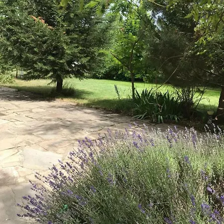 Reina Holiday home